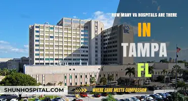 Exploring Tampa's VA Healthcare: How Many Hospitals Serve Veterans?