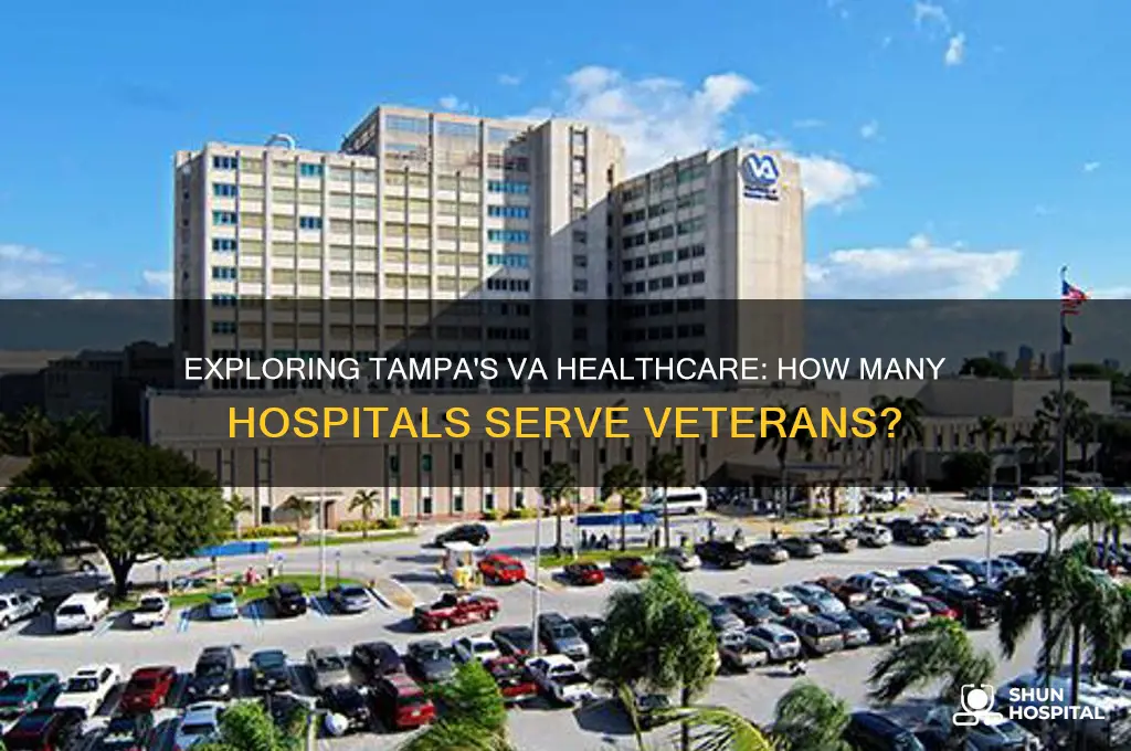 how many va hospitals are there in tampa fl