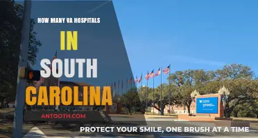 Veterans Affairs: South Carolina's VA Hospitals Count