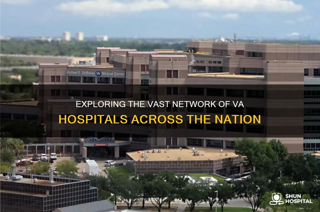 how many va hospitals