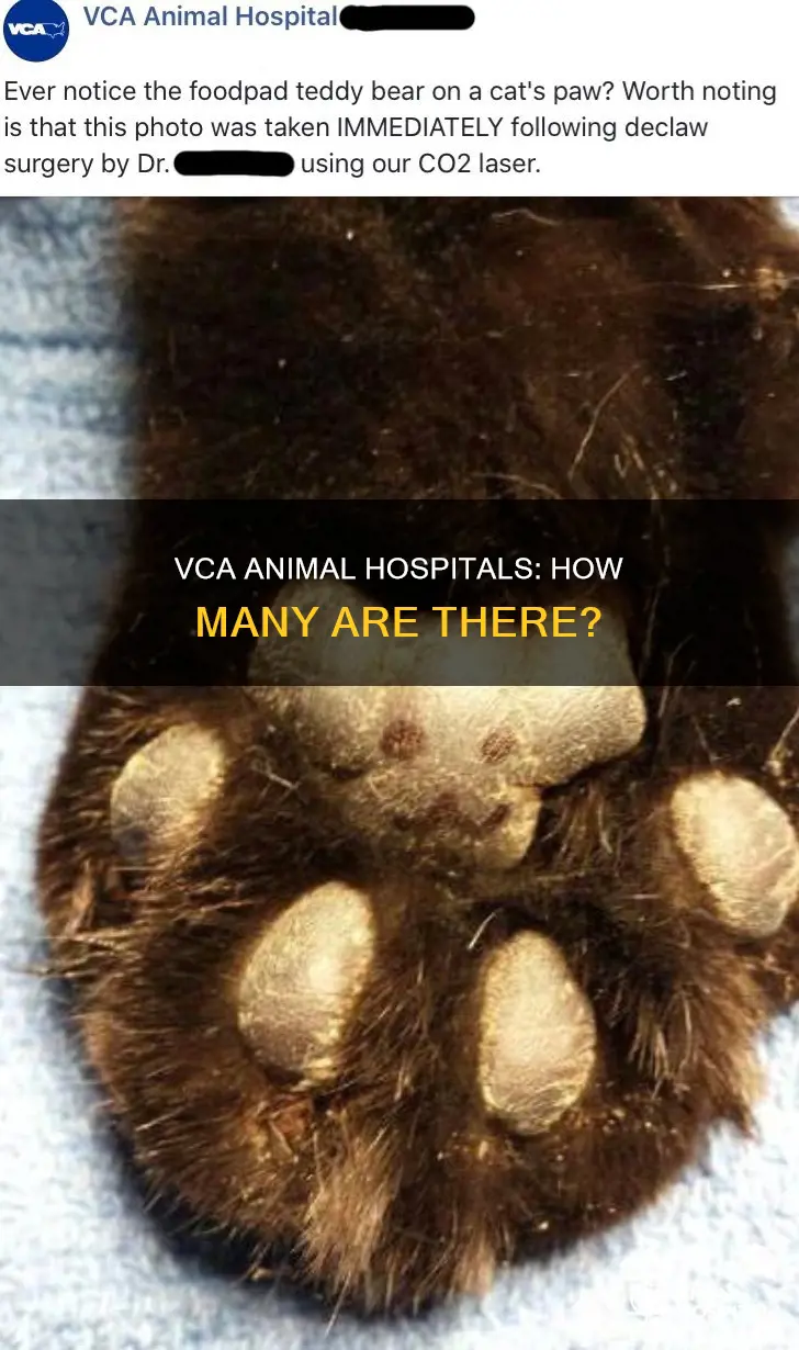 how many vca animal hospitals are there