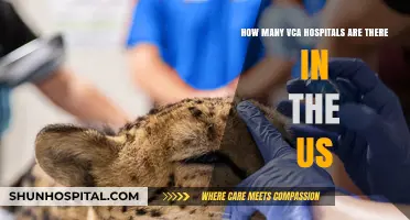 Exploring the Number of VCA Hospitals Across the United States