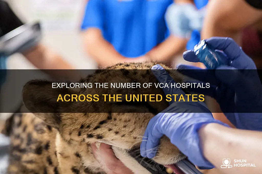 how many vca hospitals are there in the us