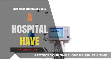 Ventilator Availability: A Hospital's Lifeline