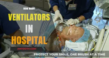 Understanding Hospital Ventilator Availability: A Critical Resource Overview