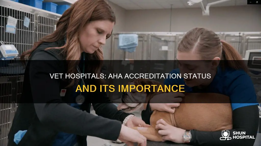 how many vet hospitals are aaha accredited
