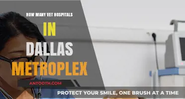 Vet Hospitals in Dallas: A Comprehensive Guide