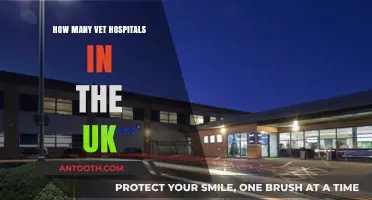 UK Vet Hospitals: How Many Are There?