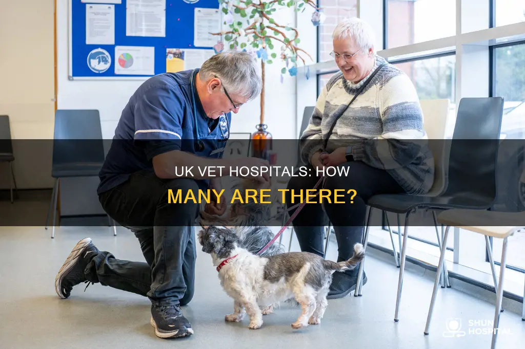 how many vet hospitals in the uk