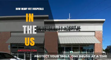 Vet Hospitals in the US: How Many Are There?