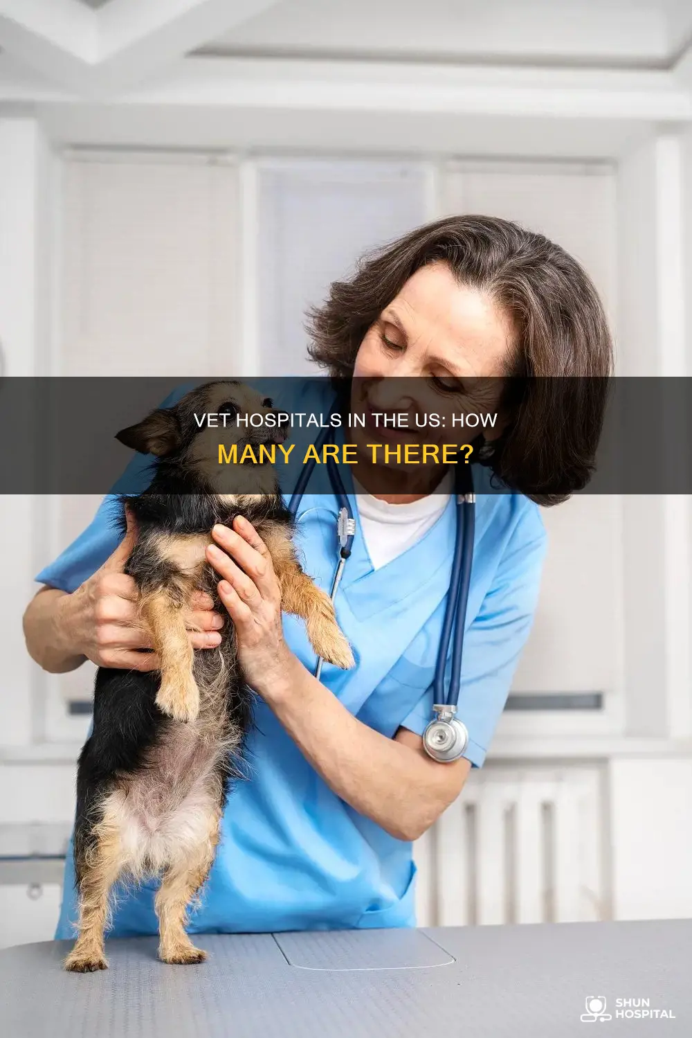 how many vet hospitals in the us