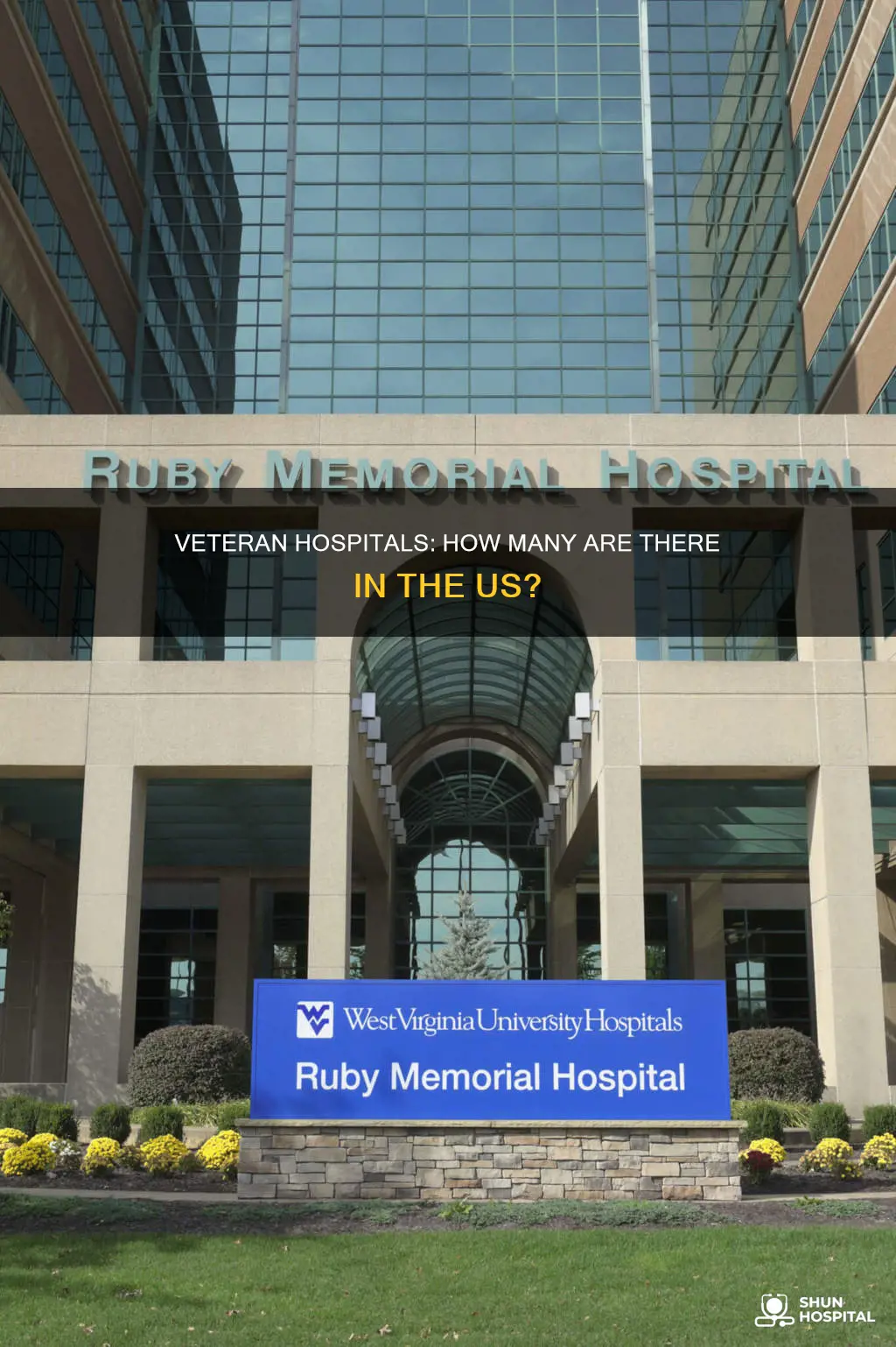 how many veteran hospitals in the us