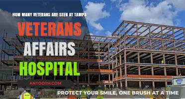 Tampa VA Hospital: Understanding Veteran Patient Volume and Care