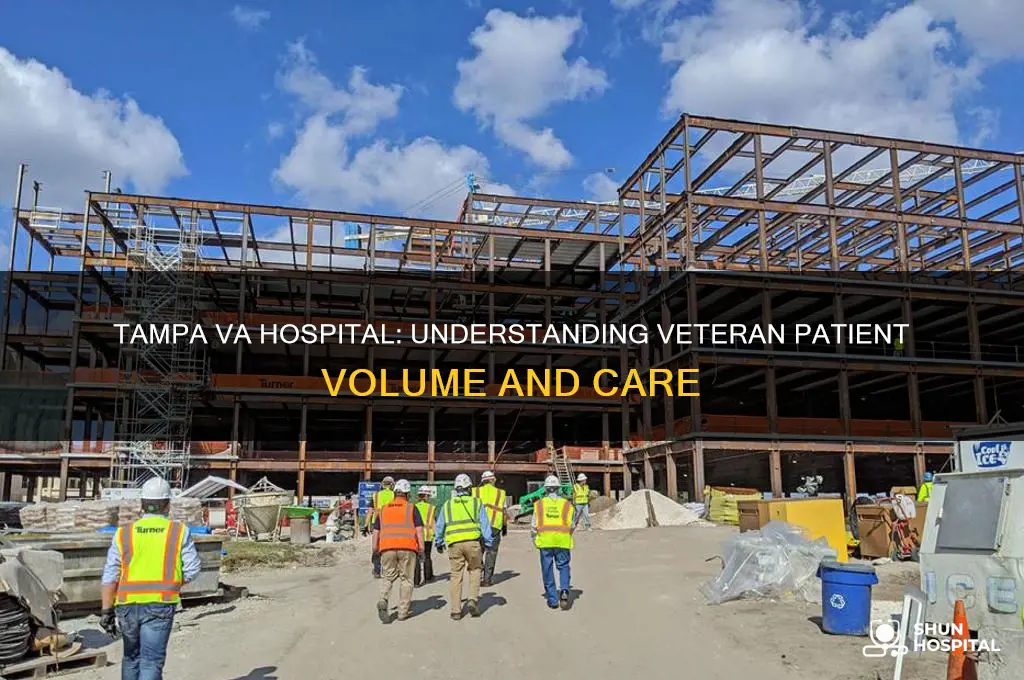 how many veterans are seen at tampa veterans affairs hospital