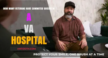 Veteran Suicides in VA Hospitals: A Tragic and Alarming Trend