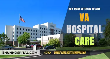 VA Hospital Care: How Many Veterans Receive It?