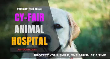 Meet the Dedicated Vet Team at Cy-Fair Animal Hospital