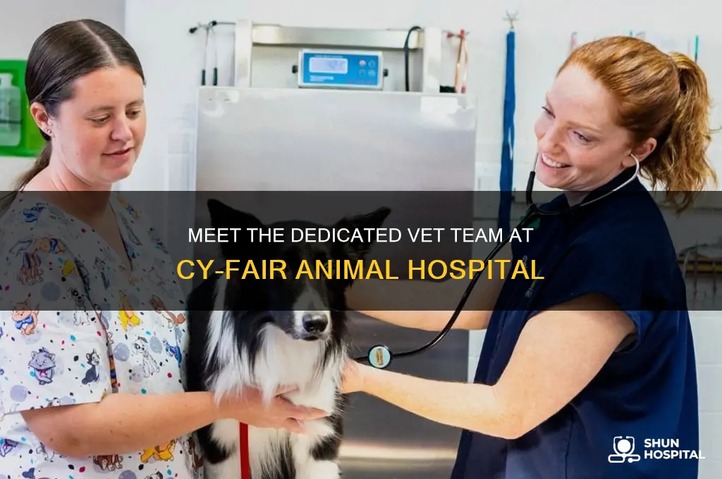how many vets are at cy-fair animal hospital