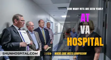 Annual VA Hospital Visits: How Many Veterans Receive Care Yearly?