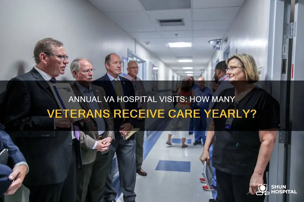 how many vets are seen yearly at va hospital