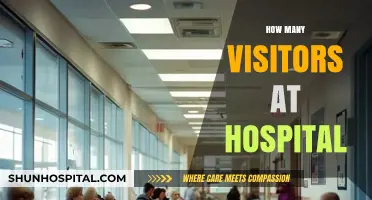 Understanding Hospital Visitor Traffic: Trends and Management Strategies