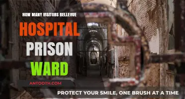 Bellevue Hospital Prison Ward: A Busy Place