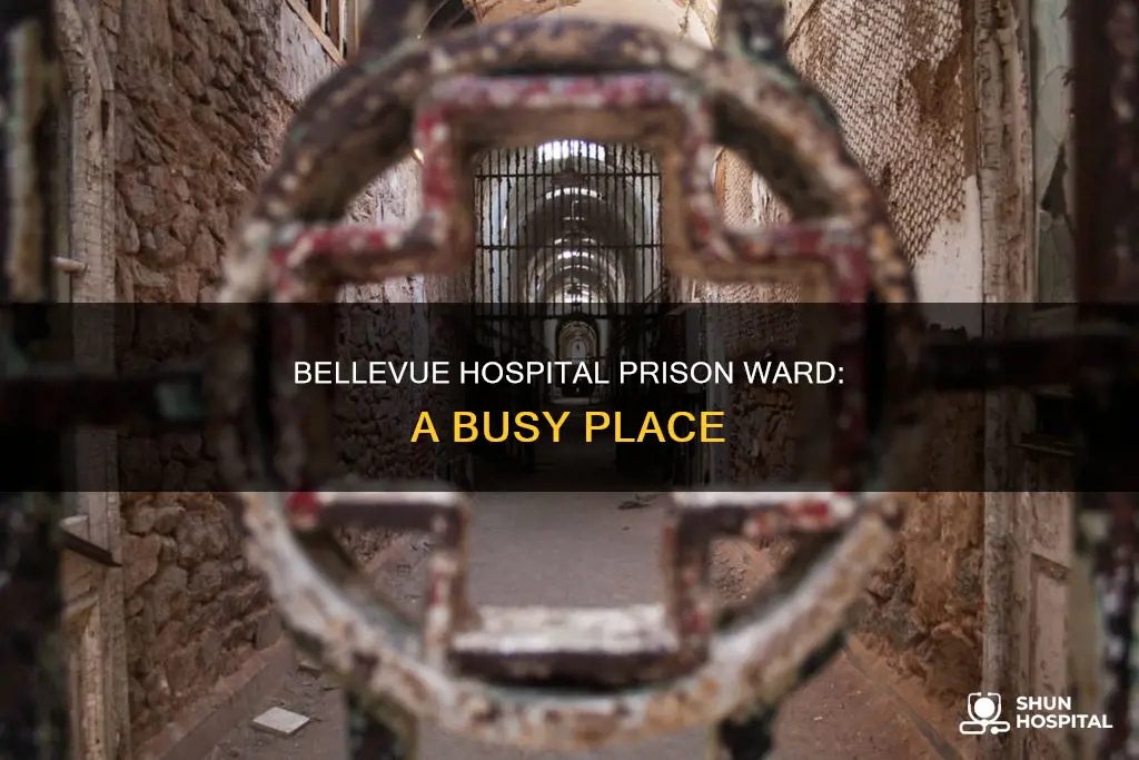 how many visitors bellevue hospital prison ward