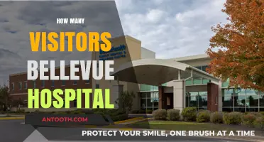 Bellevue Hospital Visitor Numbers: Understanding Patient and Guest Traffic