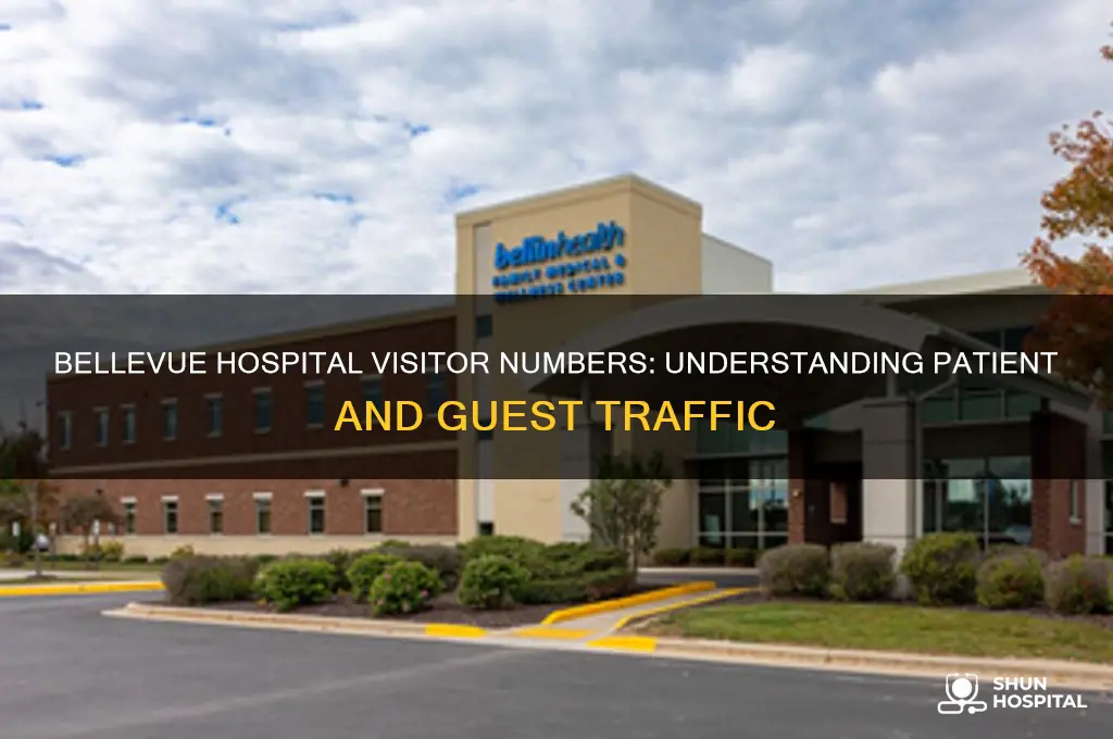 how many visitors bellevue hospital