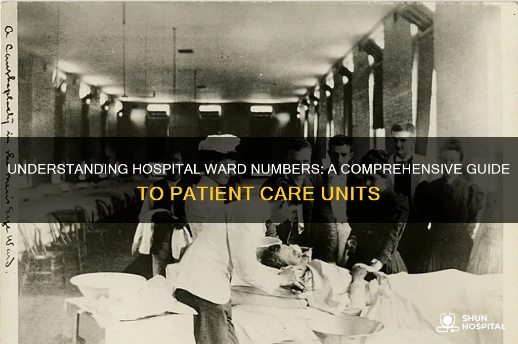 how many ward in hospital