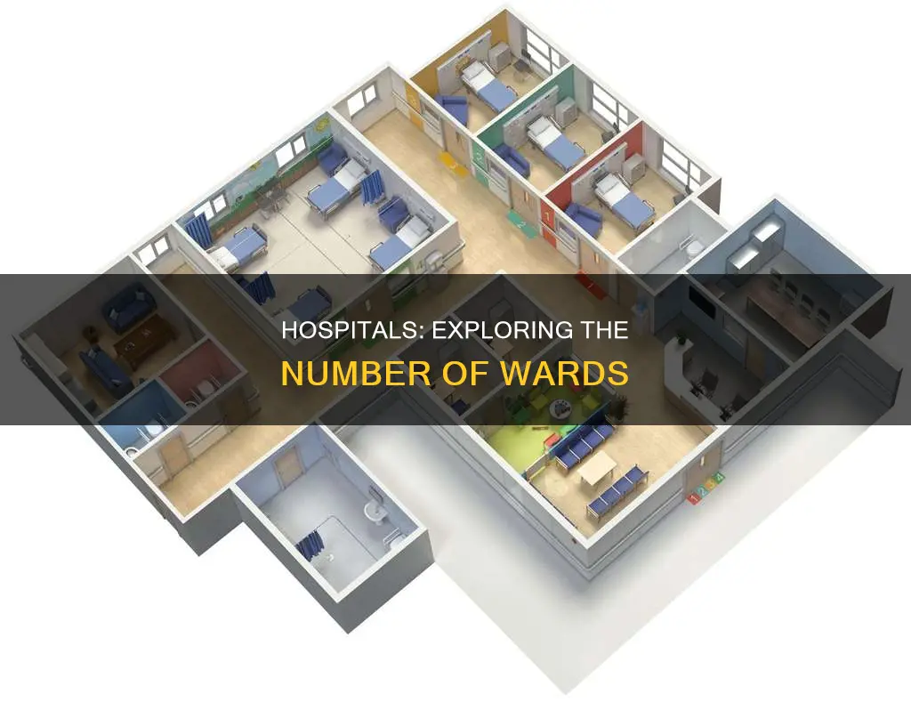 how many wards are there in hospitals