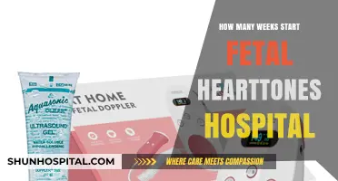 Fetal Heart Tones: When to Expect the First Hospital Check