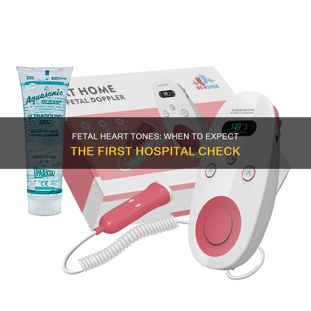 how many weeks start fetal hearttones hospital