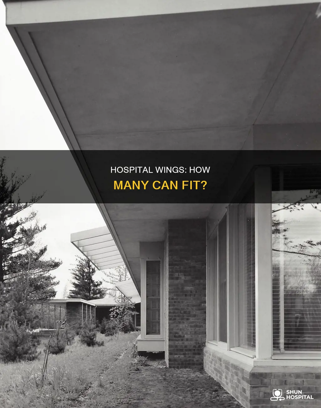 how many wings could a hospital hold