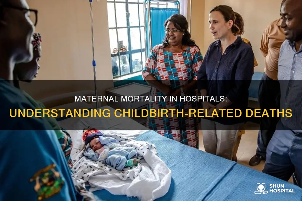 how many women die from childbirth in the hospital