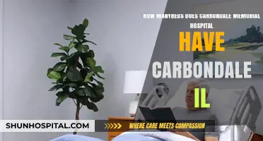 Carbondale Memorial Hospital Bed Count: A Comprehensive Overview