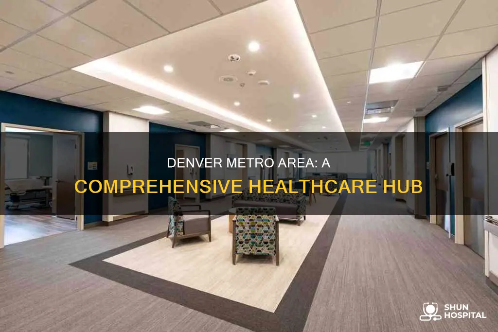 how may hospitals in denevr metro area