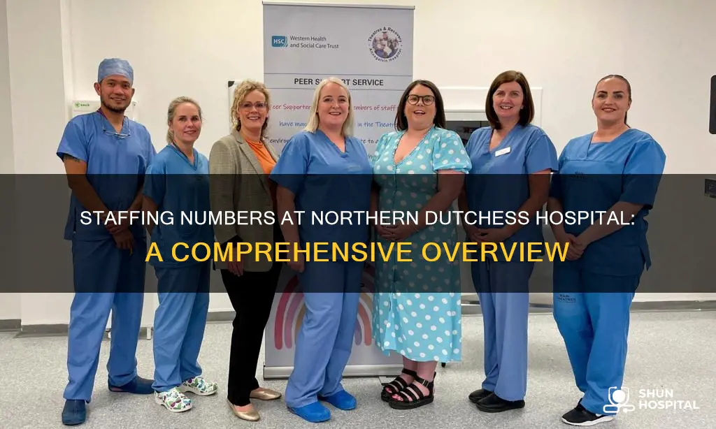 how mayn employees at nirther dutchess hospital
