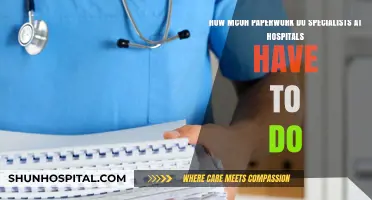 The Hidden Burden: Hospital Specialists and the Paperwork Dilemma