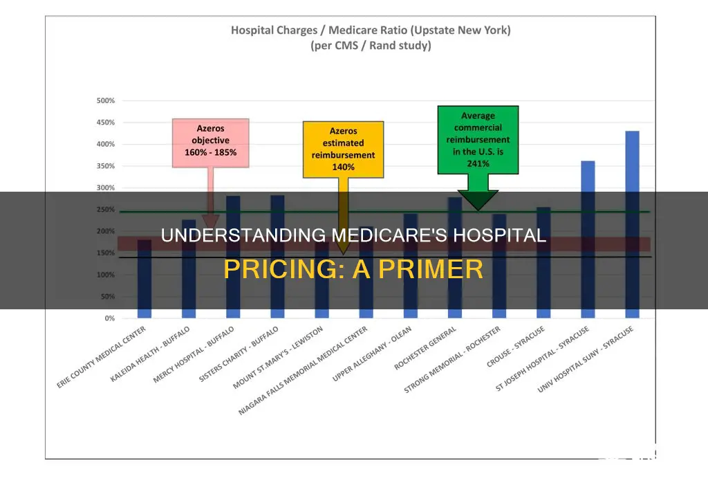 how medicare sets hospital prices a primer