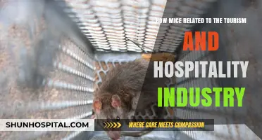 Mice Infestations: Impact on Tourism and Hospitality Industry Reputation