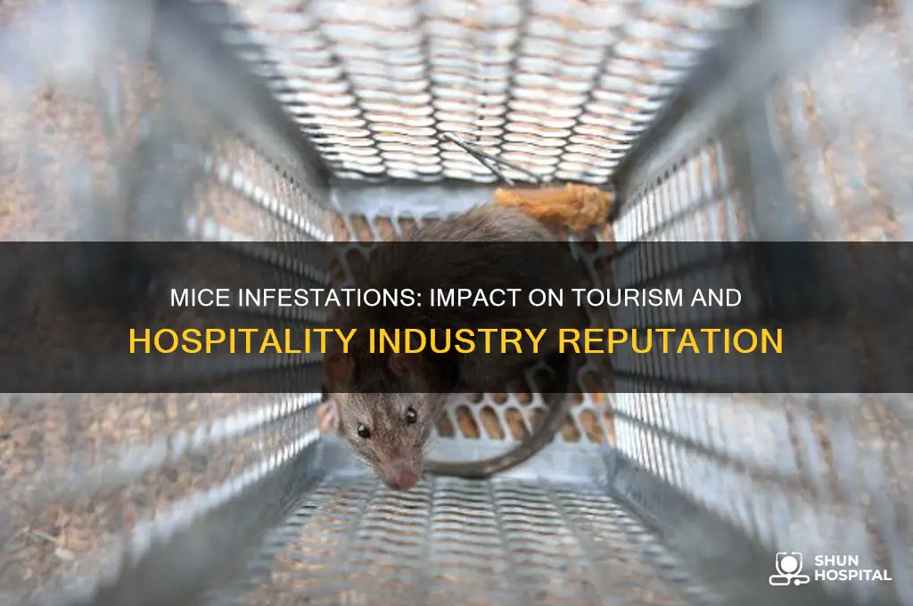 how mice related to the tourism and hospitality industry