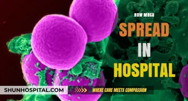 Preventing MRSA Outbreaks: Understanding Hospital Transmission and Control Measures