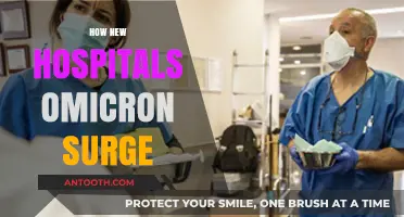 Omicron Surge Challenges: How New Hospitals Are Adapting and Responding