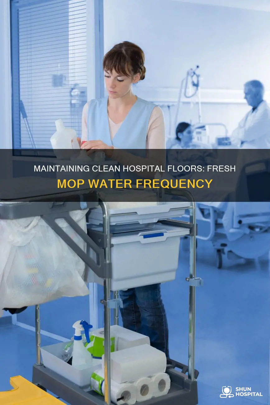 how often change mop water in hospital