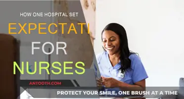 Setting Standards: A Hospital's Guide for Nurses