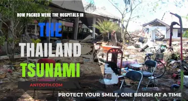 Thailand Tsunami Aftermath: Hospital Overcrowding Crisis Unveiled