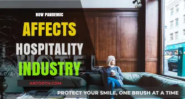 Pandemic's Impact: Challenges and Resilience in the Hospitality Sector