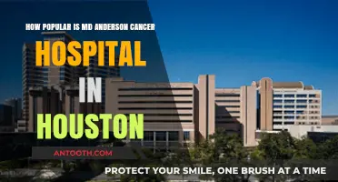 MD Anderson Cancer Hospital: Houston's Renowned Cancer Care Leader