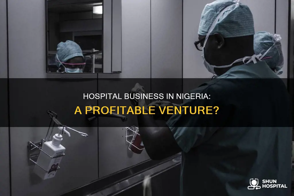 how profitable is hospital business in nigeria